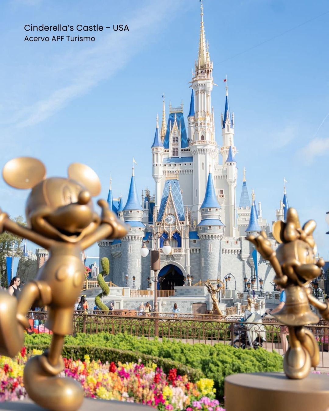 CINDERELLA'S CASTLE USA