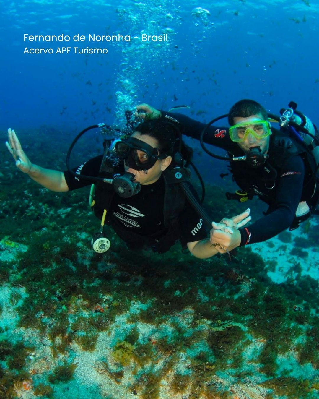 FERNANDO DE NORONHA